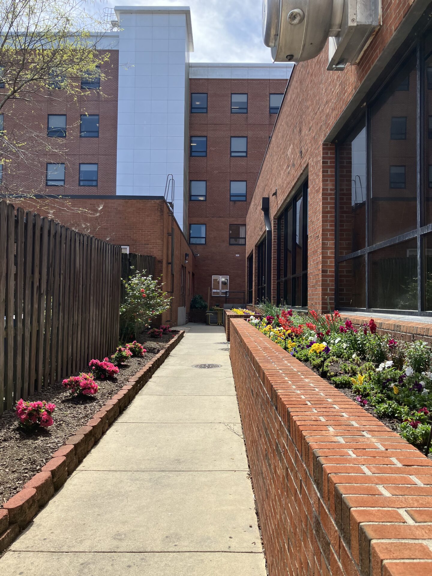 A narrow pathway flanked by red brick walls and vibrant flower beds leads to a modern building under a bright sky.
