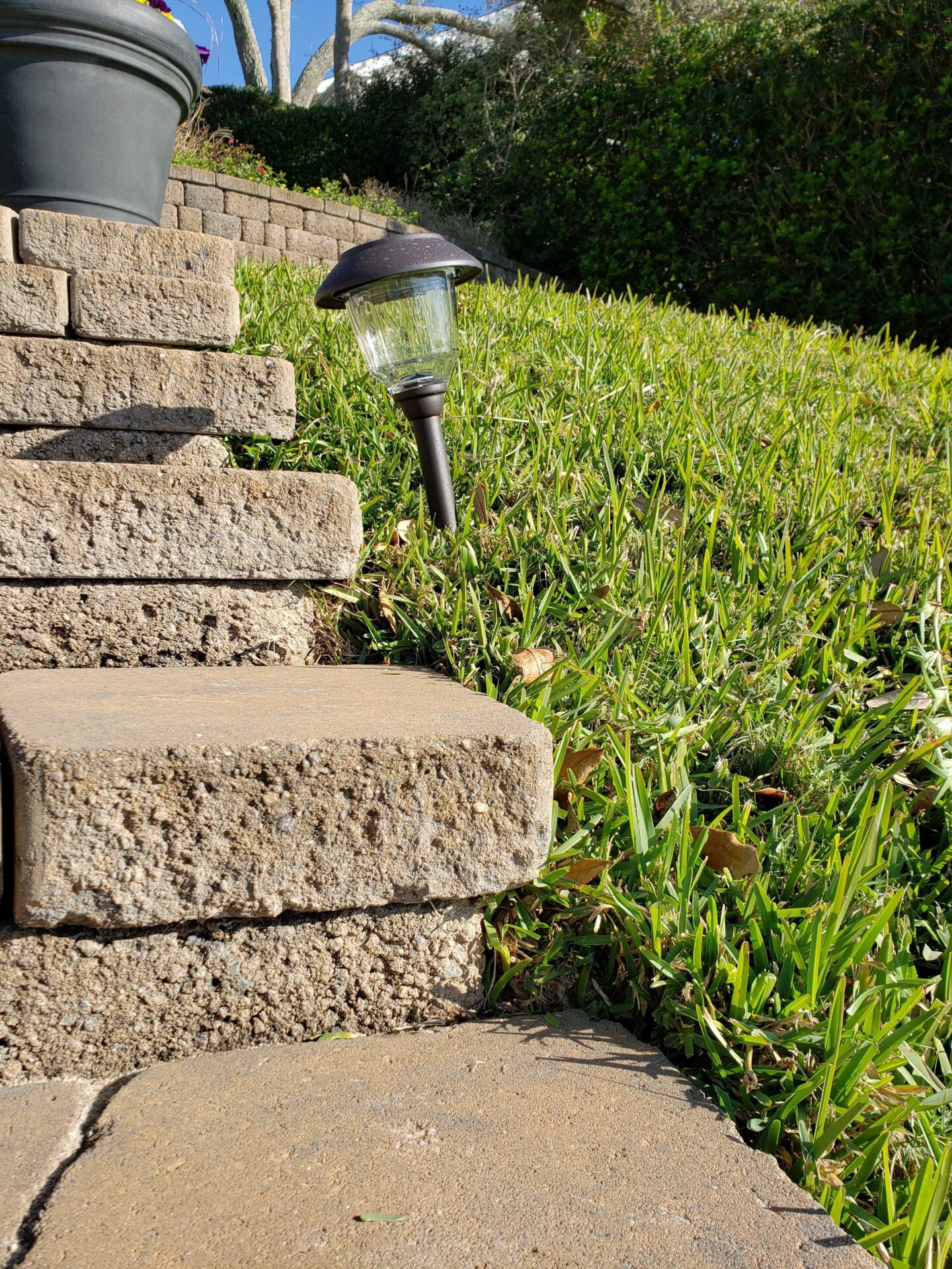 Stone steps and a leaning garden light are surrounded by lush, green grass and hedges on a sunny day.