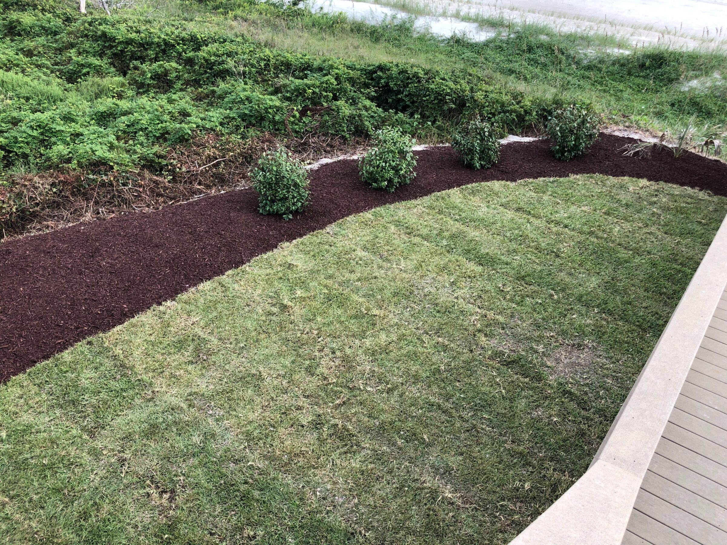 A neatly landscaped garden features freshly mulched bushes and a well-trimmed green lawn, bordered by a wooden deck and wild greenery.