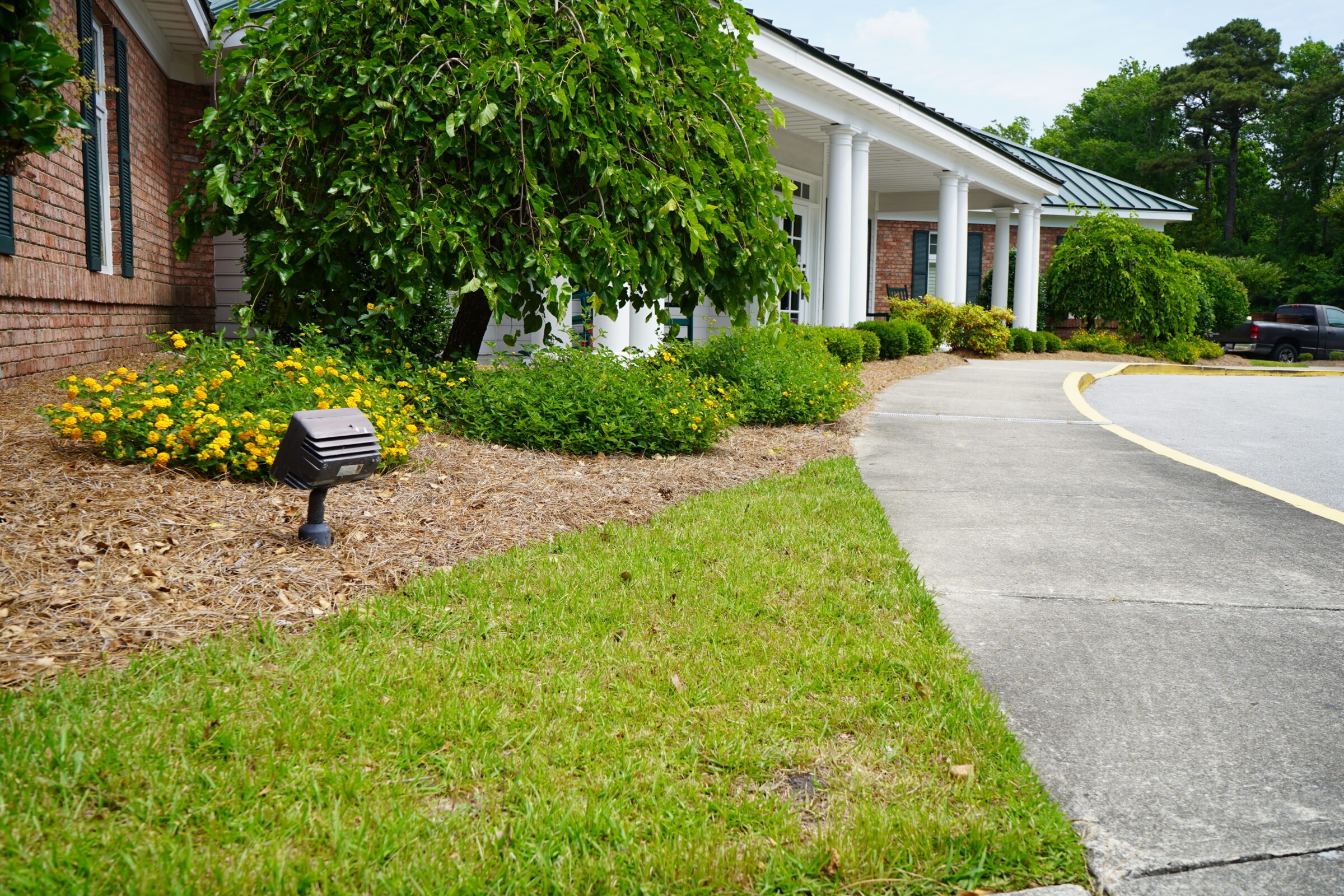 A landscaped garden with yellow flowers lines a pathway leading to a brick building with white columns and a green metal roof.