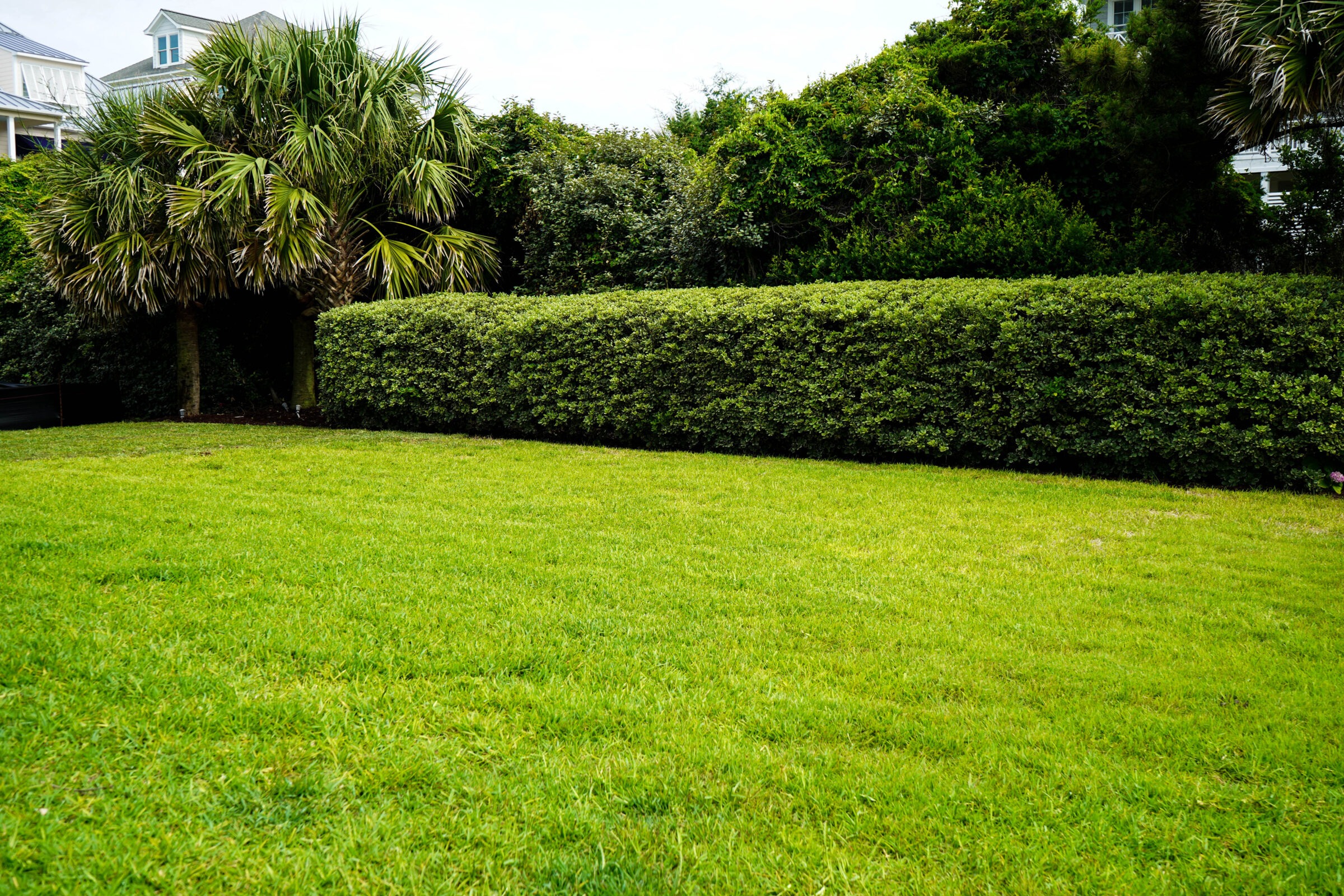 A lush green lawn bordered by trimmed hedges and palm trees, with a house partially visible in the background under a cloudy sky.