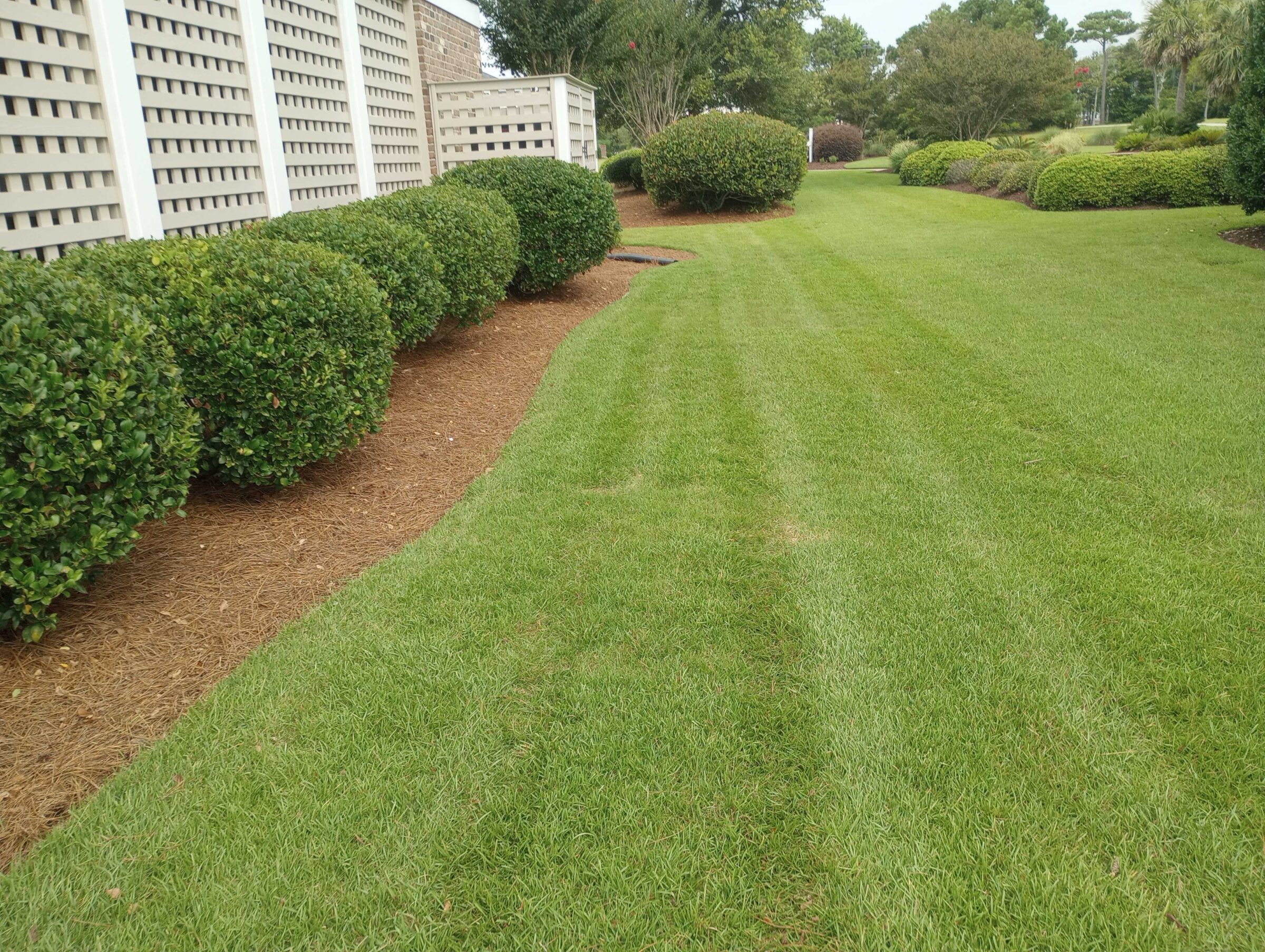Neatly manicured lawn bordered by landscaped hedges, a wooden lattice fence, and small trees in a peaceful garden setting under a cloudy sky.