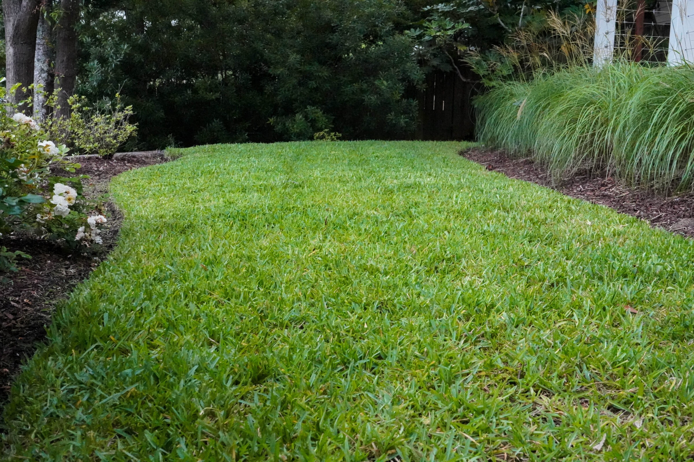 Lush green lawn bordered by flowering shrubs and trees, creating a serene garden path with soft natural lighting.