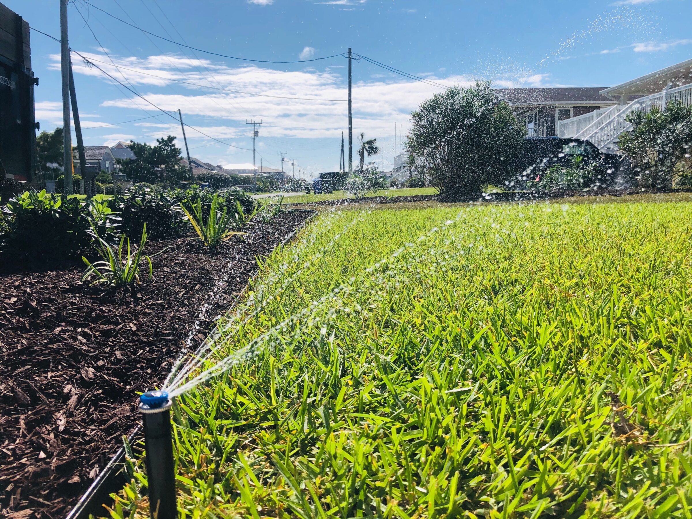 A sprinkler waters a grassy lawn beside a mulched garden under a clear blue sky, in a suburban neighborhood with houses and power lines.
