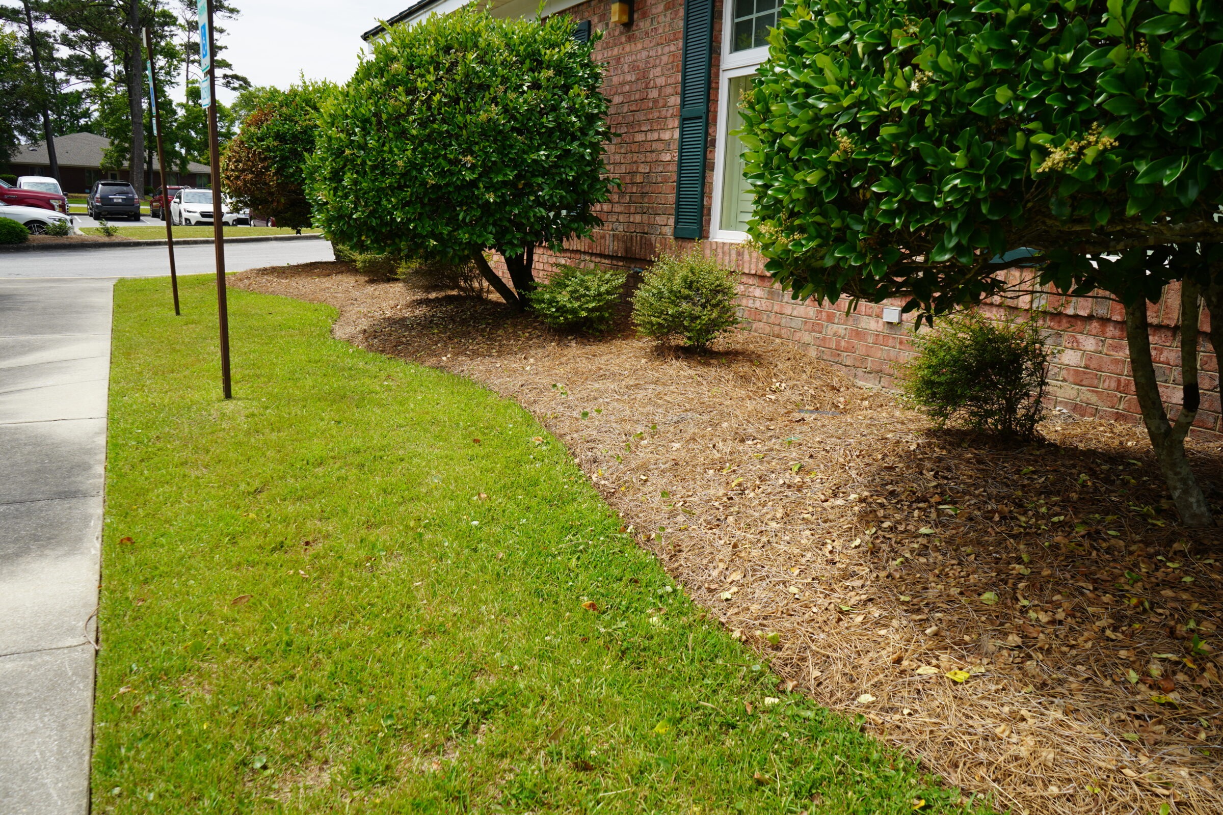 Landscaped garden beside a brick building with trimmed hedges, green grass, and parked cars in the background on a sunny day.