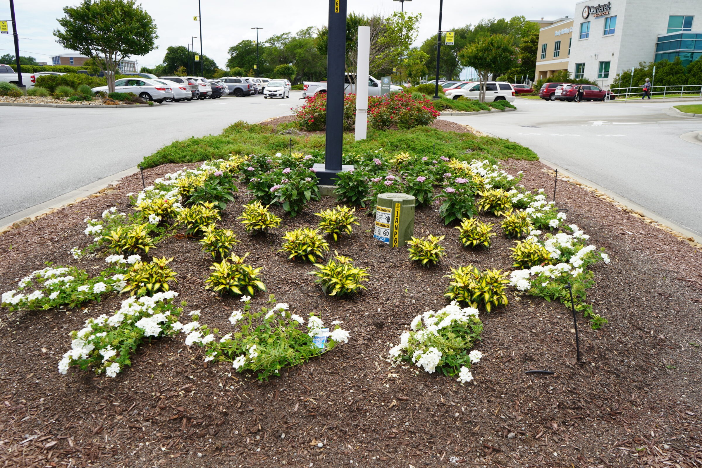 A landscaped parking lot with vibrant flowers and parked cars near a building labeled Carteret Medical Group. Trees are seen in the background.
