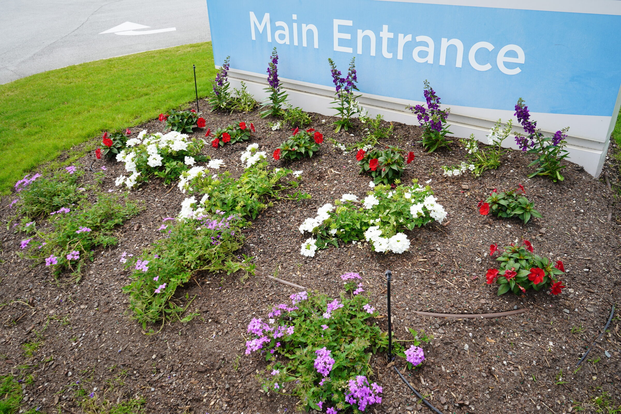 A garden bed with colorful flowers sits beneath a sign reading "Main Entrance" on a grassy roadside.