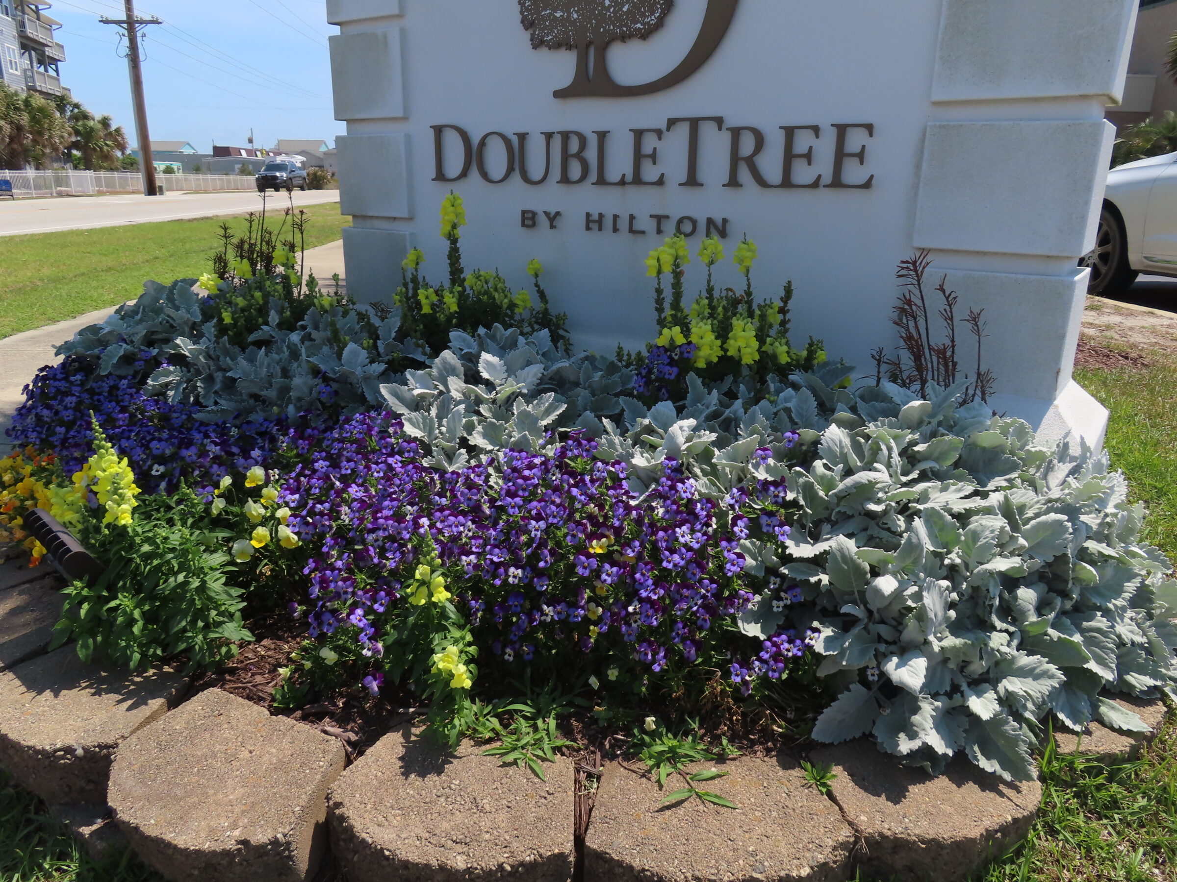 Flower bed with colorful blooms and greenery surrounds a DoubleTree by Hilton sign, visible near a road and building in the background.