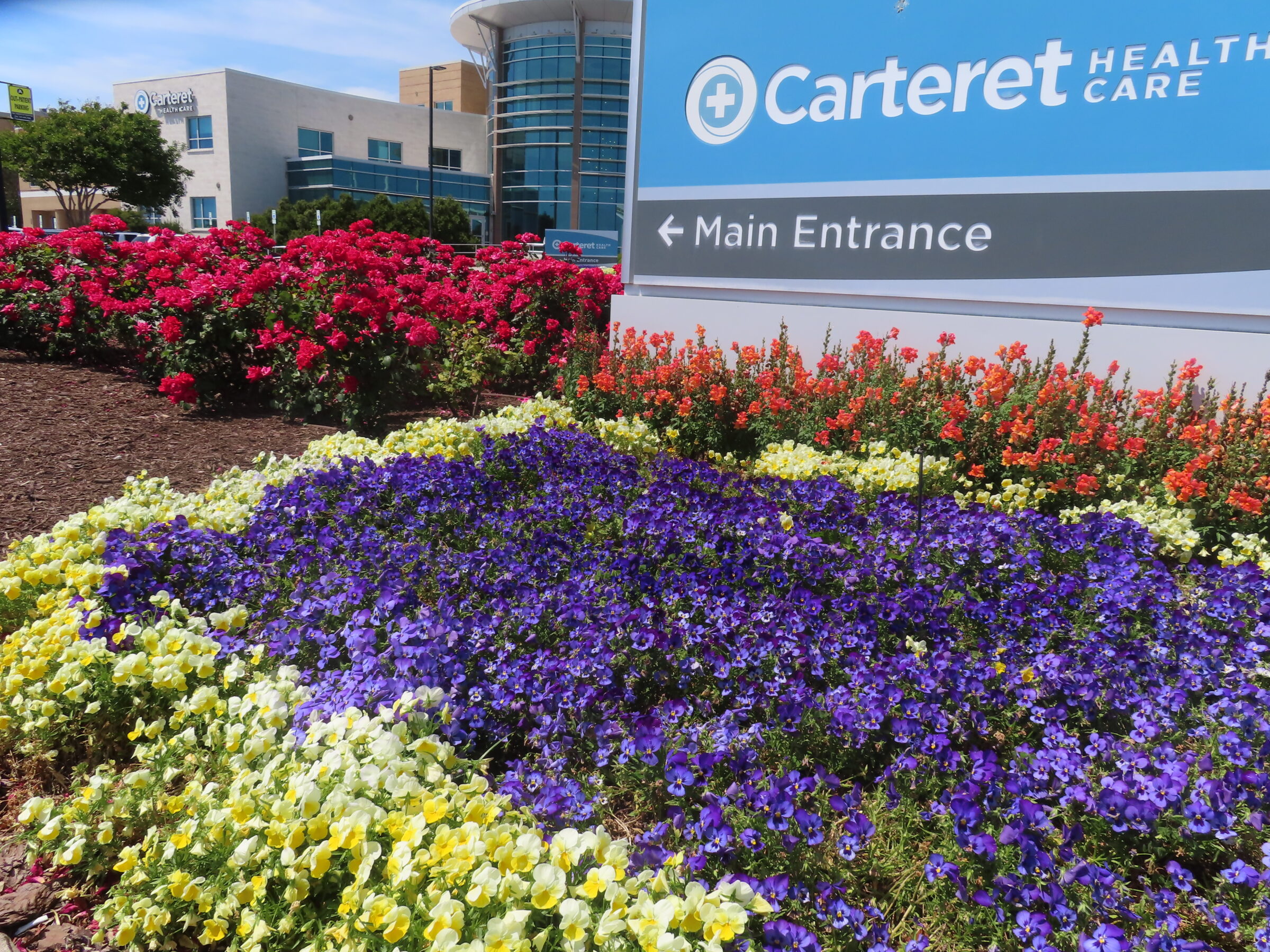 Vibrant garden of red, purple, and yellow flowers in front of Carteret Health Care main entrance sign and modern building.
