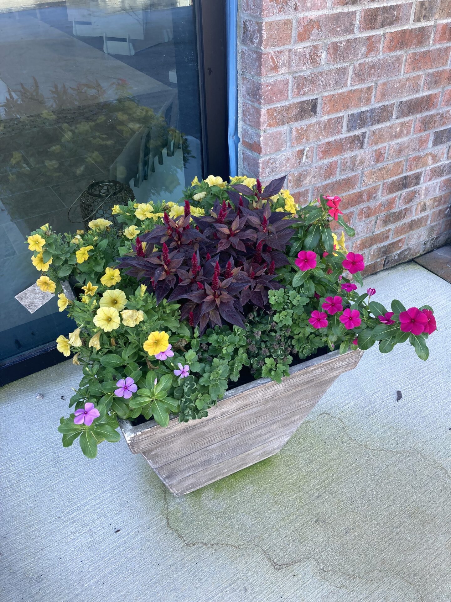 A decorative planter with colorful flowers sits on concrete beside a brick wall, reflecting in a nearby window. No landmarks visible.