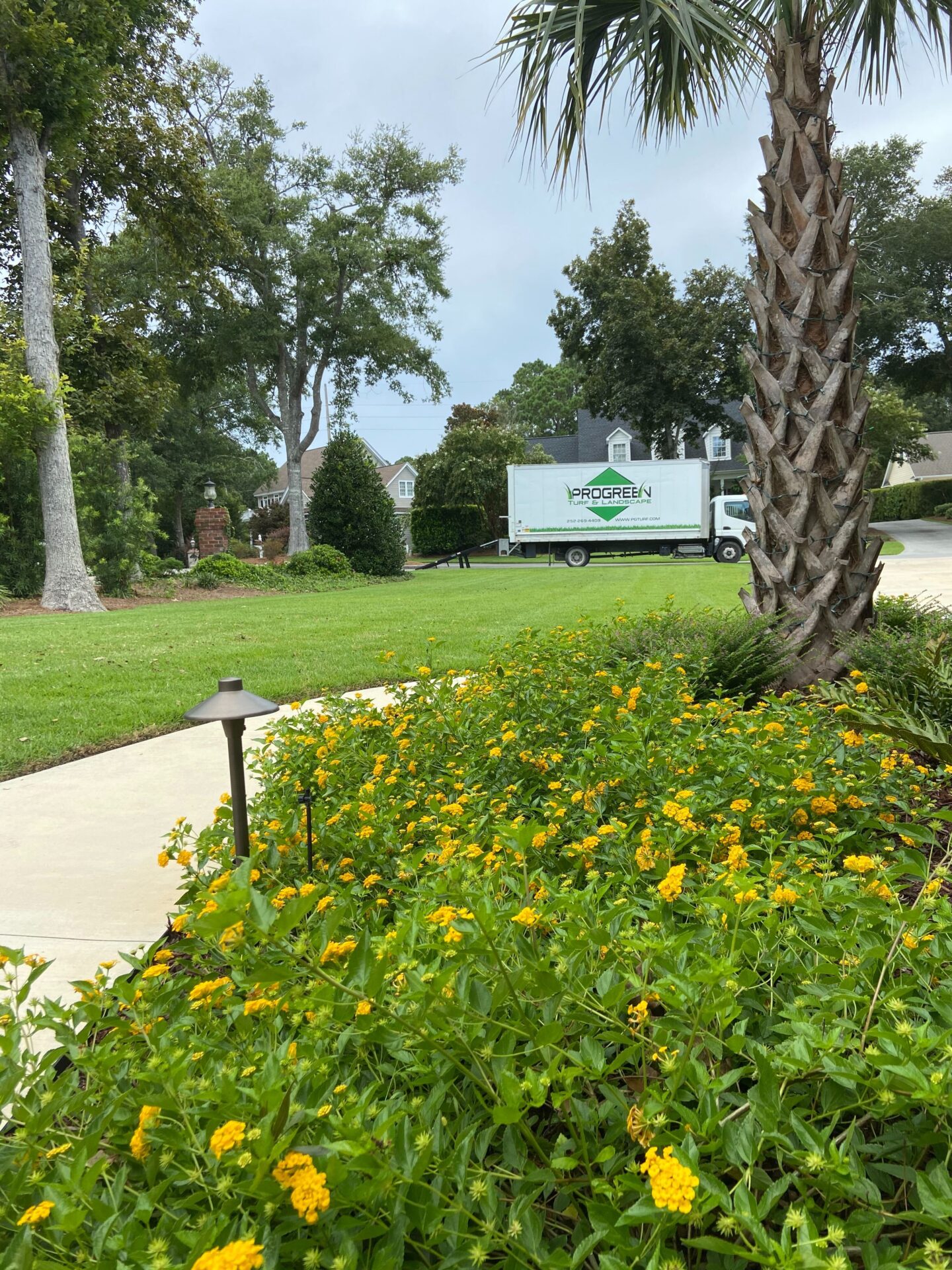 A lush garden with yellow flowers, palm tree, and a white truck labeled "PROGREEN." Residential neighborhood, with trees and a paved pathway.