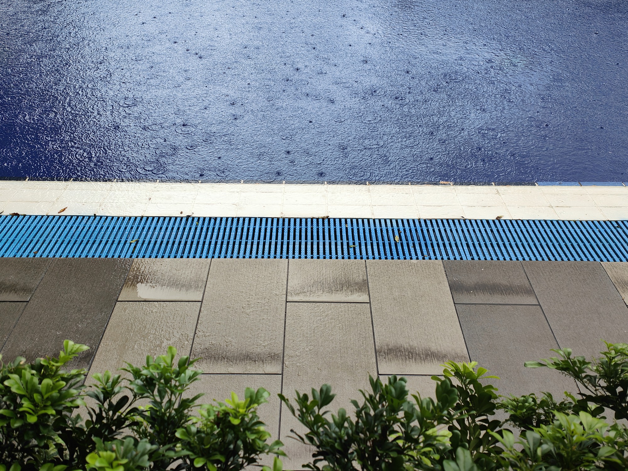 Rain falls on a tranquil pool surrounded by a tiled deck and lush green plants, creating a serene atmosphere.